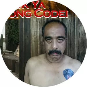 Pok ya cong codei